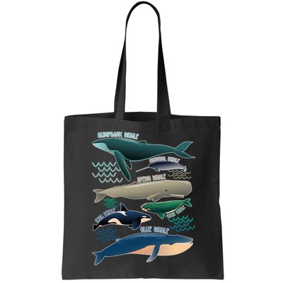 Types Of Whales Save The Whales Bag