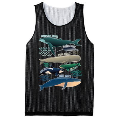 Types Of Whales Save The Whales Mesh Reversible Basketball Jersey Tank