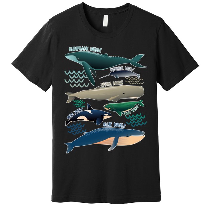 Types Of Whales Save The Whales Premium T-Shirt
