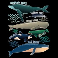 Types Of Whales Save The Whales Premium T-Shirt