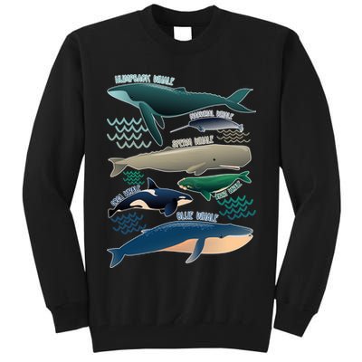 Types Of Whales Save The Whales Tall Sweatshirt