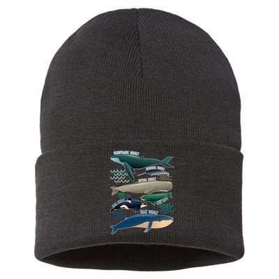 Types Of Whales Save The Whales Sustainable Knit Beanie