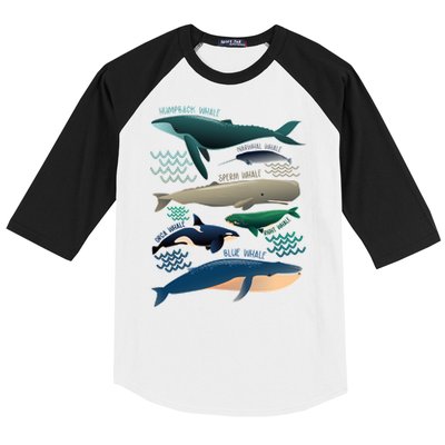 Types Of Whales Save The Whales Baseball Sleeve Shirt