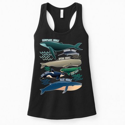 Types Of Whales Save The Whales Womens Tank Top