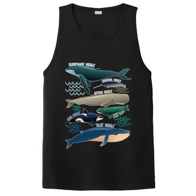 Types Of Whales Save The Whales PosiCharge Competitor Tank