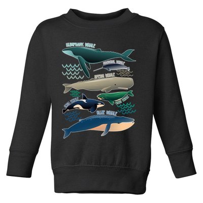Types Of Whales Save The Whales Toddler Sweatshirt