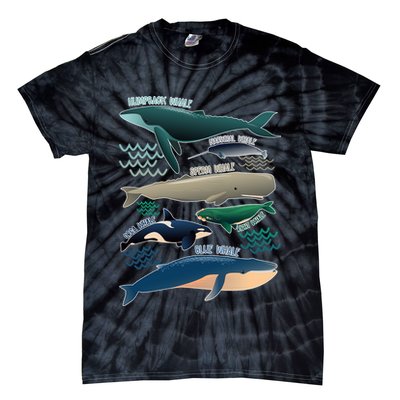 Types Of Whales Save The Whales Tie-Dye T-Shirt