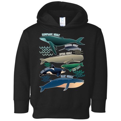 Types Of Whales Save The Whales Toddler Hoodie