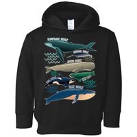Types Of Whales Save The Whales Toddler Hoodie