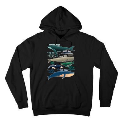 Types Of Whales Save The Whales Tall Hoodie