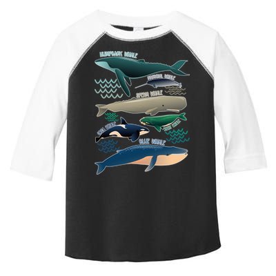 Types Of Whales Save The Whales Toddler Fine Jersey T-Shirt