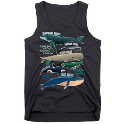Types Of Whales Save The Whales Tank Top