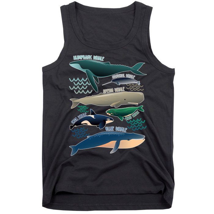 Types Of Whales Save The Whales Tank Top