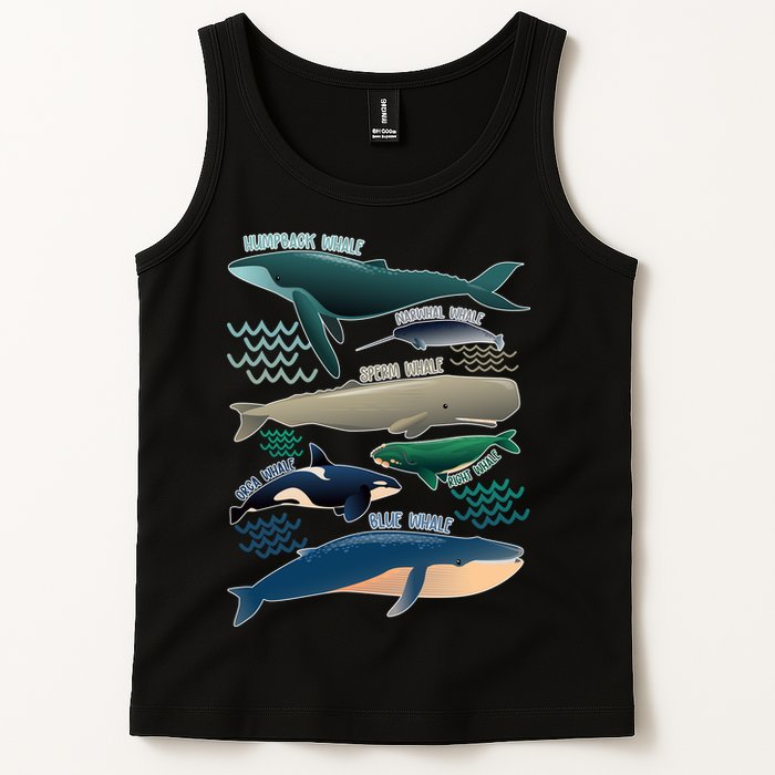 Types Of Whales Save The Whales Tank Top