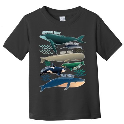 Types Of Whales Save The Whales Toddler T-Shirt