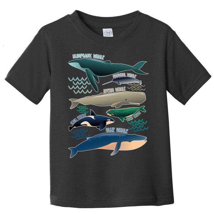Types Of Whales Save The Whales Toddler T-Shirt