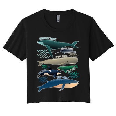 Types Of Whales Save The Whales Crop Top