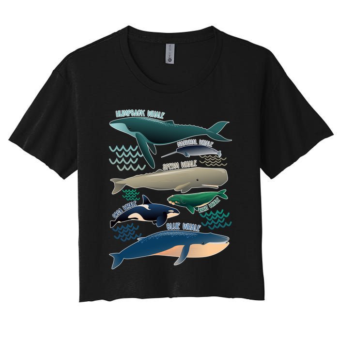 Types Of Whales Save The Whales Crop Top