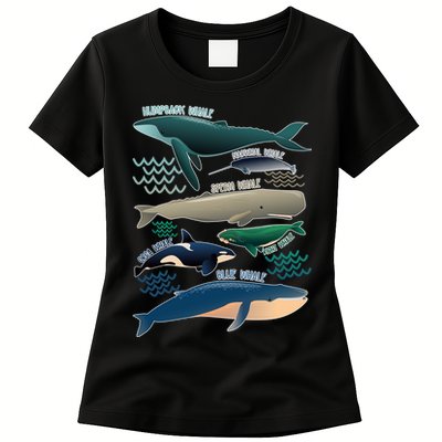 Types Of Whales Save The Whales Womens T-Shirt