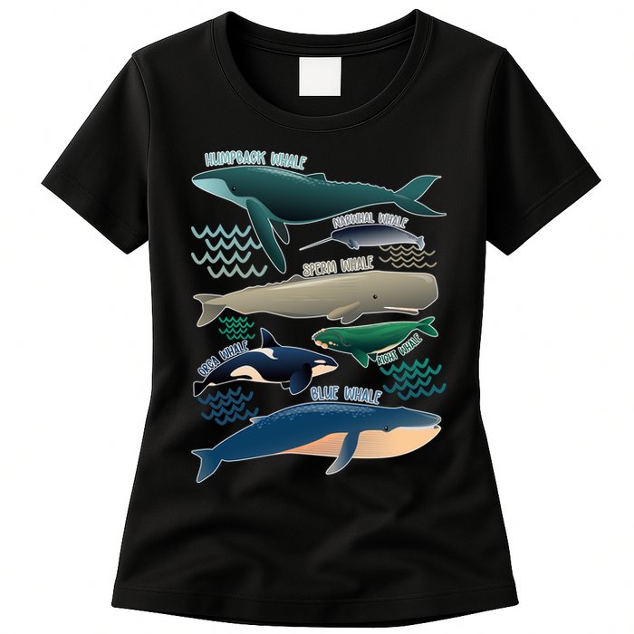 Types Of Whales Save The Whales Womens T-Shirt