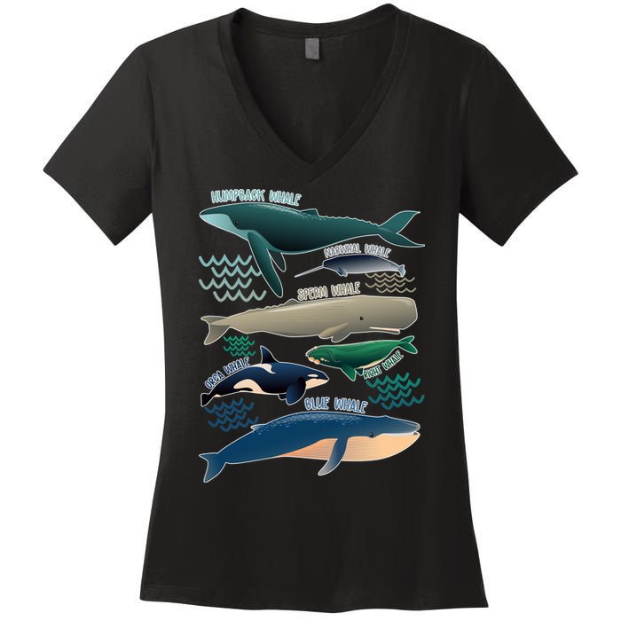 Types Of Whales Save The Whales Women's V-Neck T-Shirt