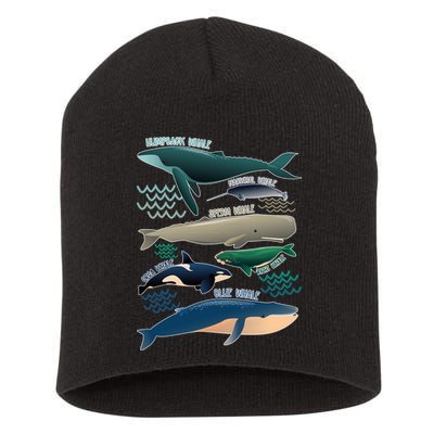 Types Of Whales Save The Whales Short Acrylic Beanie