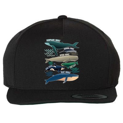 Types Of Whales Save The Whales Wool Snapback Cap