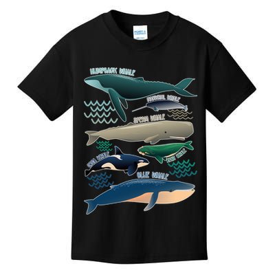 Types Of Whales Save The Whales Kids T-Shirt
