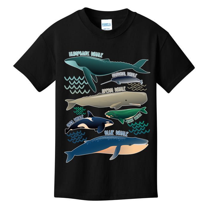 Types Of Whales Save The Whales Kids T-Shirt