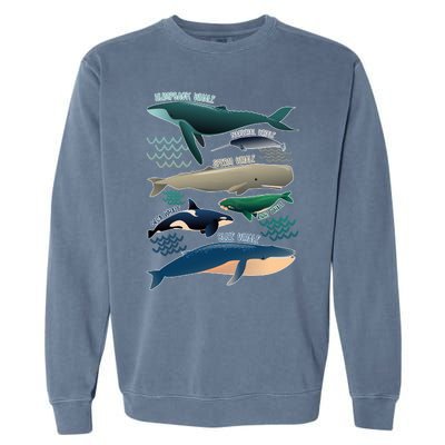 Types Of Whales Save The Whales Garment-Dyed Sweatshirt