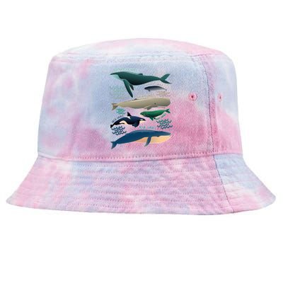 Types Of Whales Save The Whales Tie-Dyed Bucket Hat