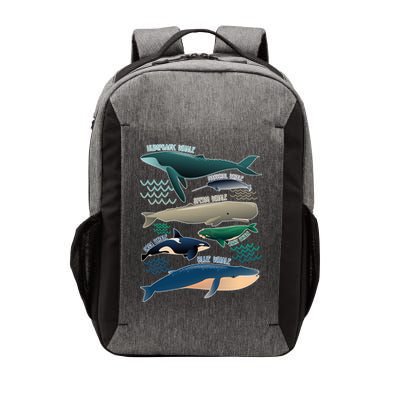 Types Of Whales Save The Whales Vector Backpack