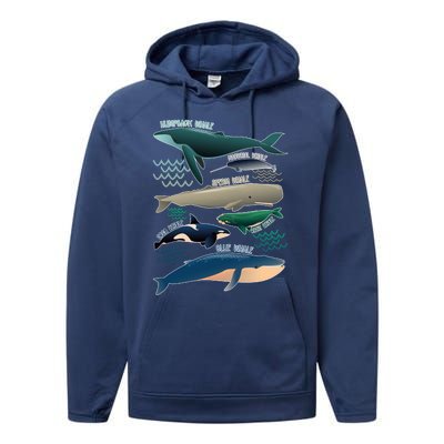 Types Of Whales Save The Whales Performance Fleece Hoodie