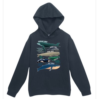 Types Of Whales Save The Whales Urban Pullover Hoodie