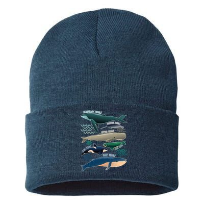 Types Of Whales Save The Whales Sustainable Knit Beanie