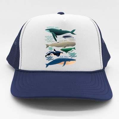 Types Of Whales Save The Whales Trucker Hat