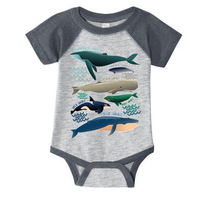 Types Of Whales Save The Whales Infant Baby Jersey Bodysuit