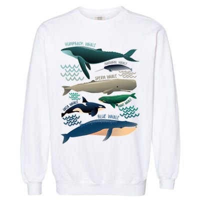 Types Of Whales Save The Whales Garment-Dyed Sweatshirt