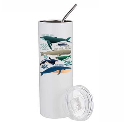 Types Of Whales Save The Whales Stainless Steel Tumbler