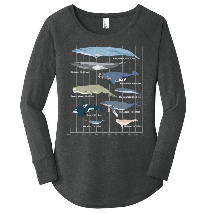 Types Of Whales Huge Whale Women's Perfect Tri Tunic Long Sleeve Shirt