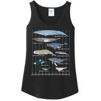 Types Of Whales Huge Whale Ladies Essential Tank