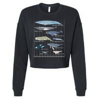 Types Of Whales Huge Whale Cropped Pullover Crew