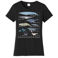 Types Of Whales Huge Whale Women's T-Shirt