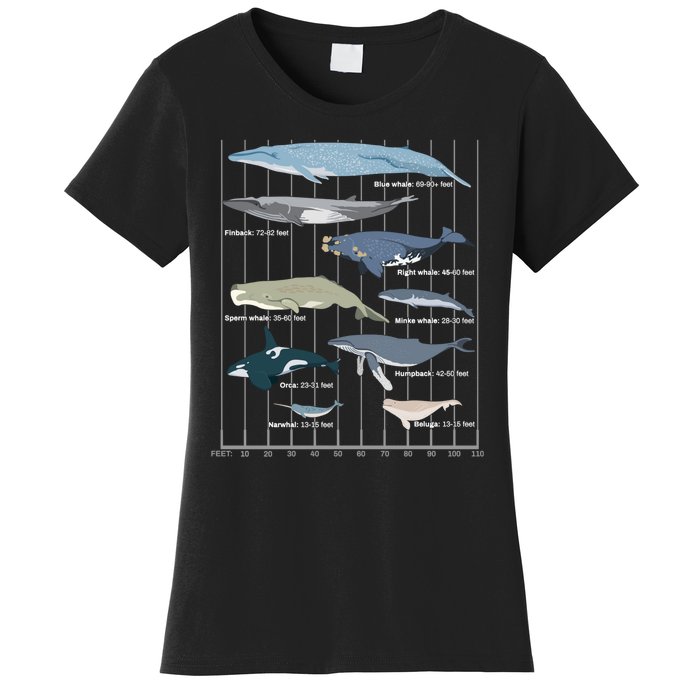 Types Of Whales Huge Whale Women's T-Shirt