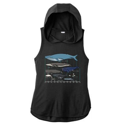 Types Of Whales Huge Whale Ladies PosiCharge Tri-Blend Wicking Draft Hoodie Tank