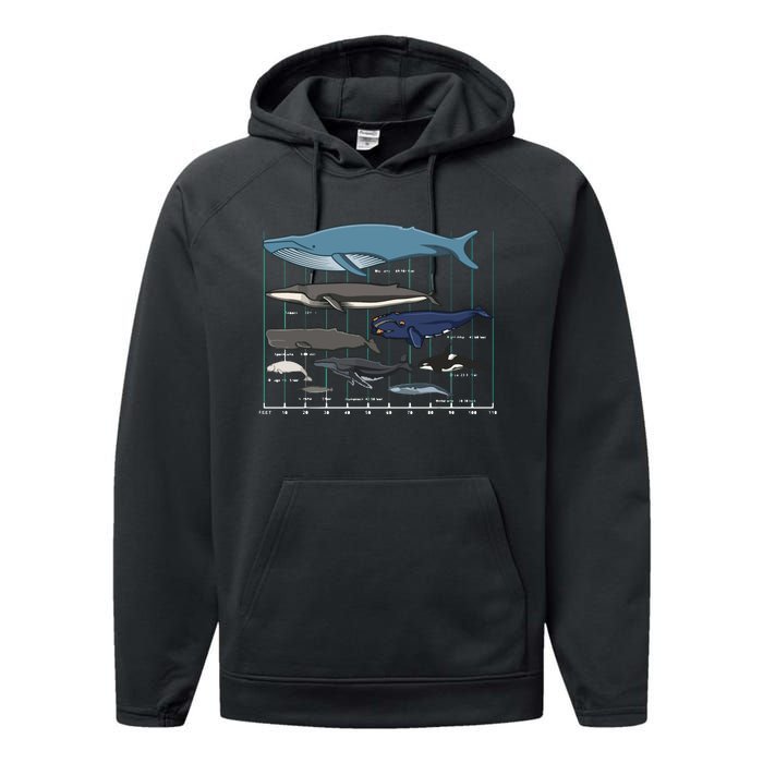 Types Of Whales Huge Whale Performance Fleece Hoodie