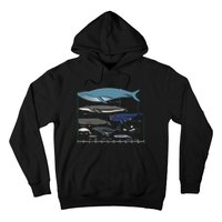 Types Of Whales Huge Whale Hoodie