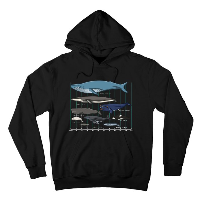 Types Of Whales Huge Whale Hoodie