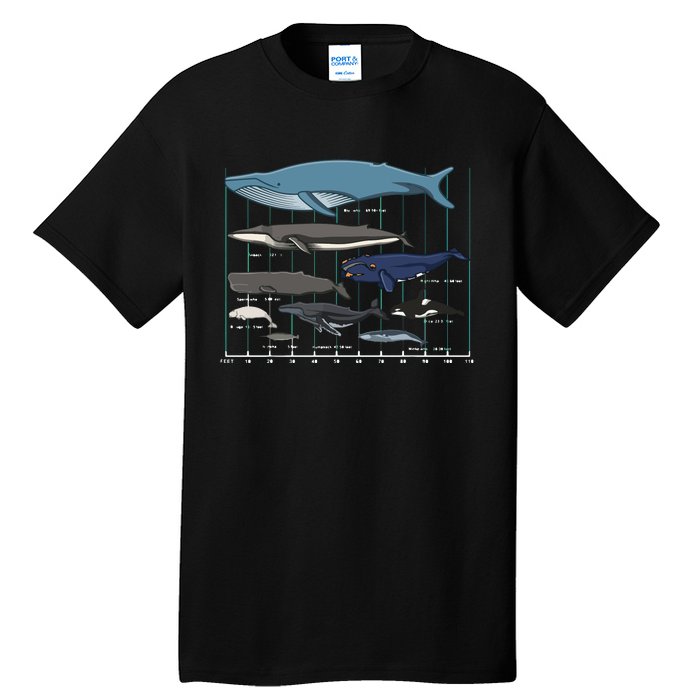 Types Of Whales Huge Whale Tall T-Shirt