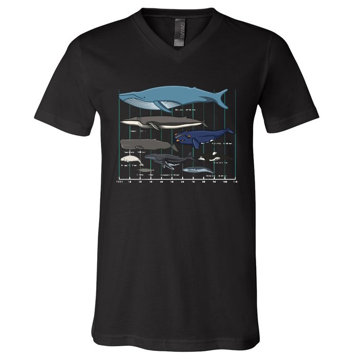 Types Of Whales Huge Whale V-Neck T-Shirt